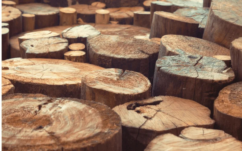 What is Teak Wood: Understanding Its Origins and Characteristics